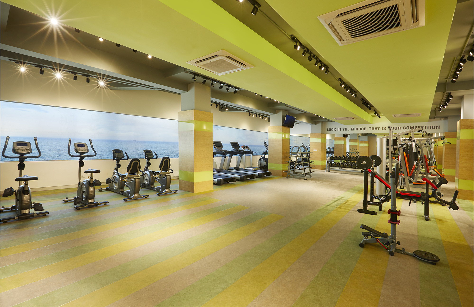 Gymnasium