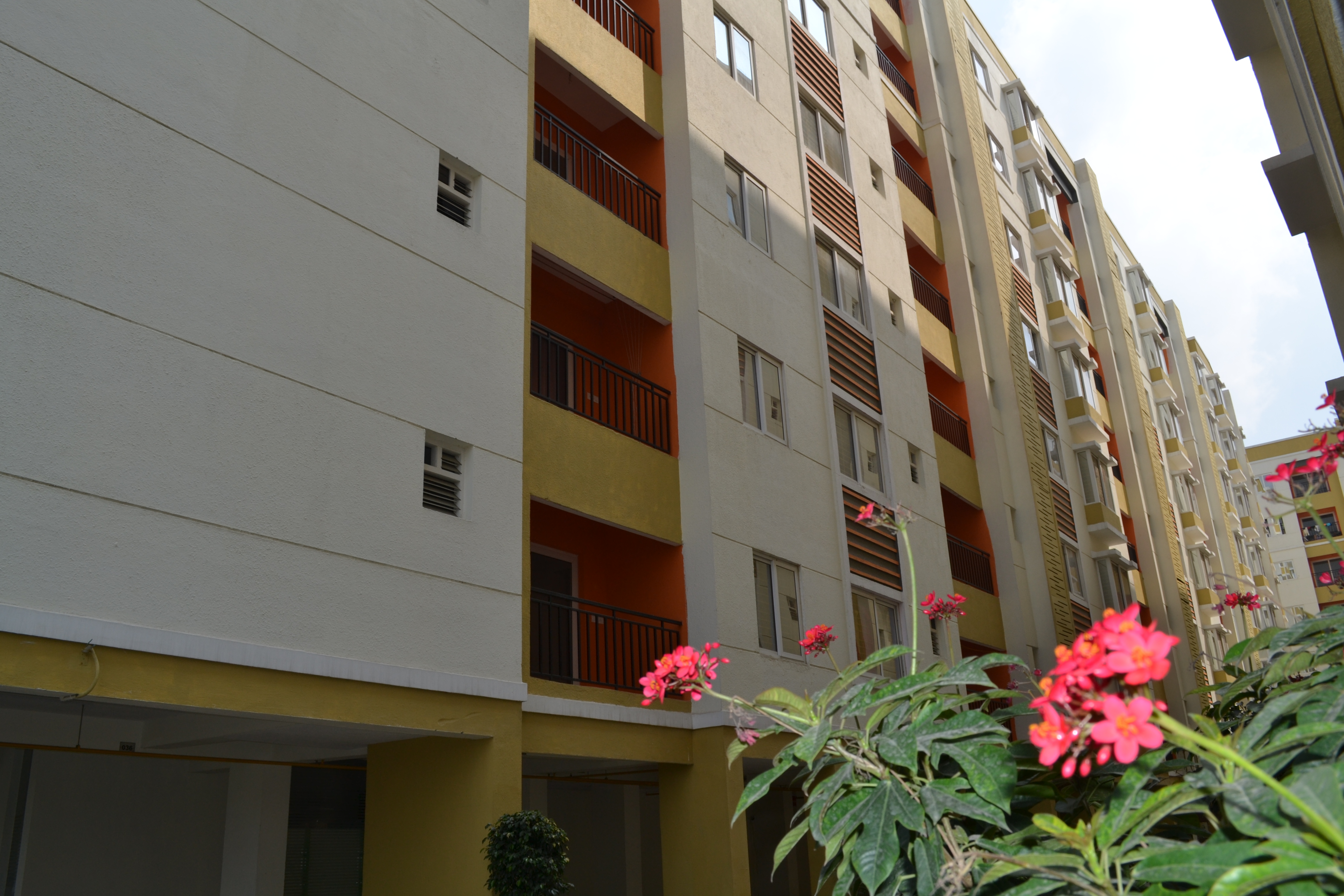 Township view